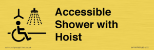 Accessible Shower with Hoist